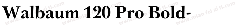 Walbaum 120 Pro Bold字体转换